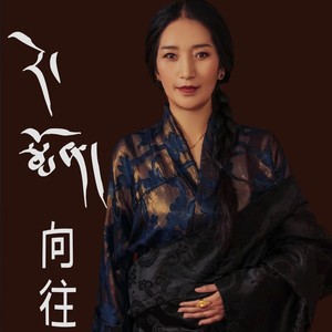 向往