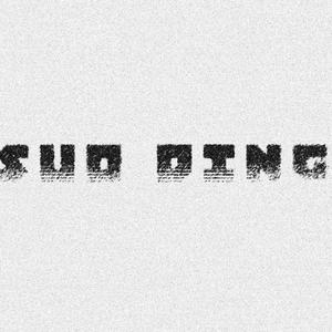 SUO DING (feat. Stallionair) (Explicit)