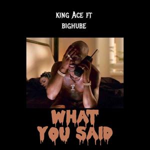 What You Said (feat. BigHube) [Explicit]