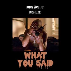 What You Said (feat. BigHube) (Explicit)