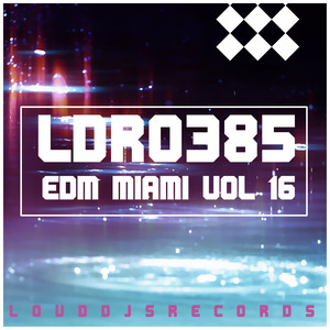 EDM Miami, Vol. 16