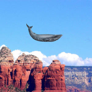 Electronic Whale