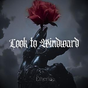 Look To Windward (Fantasy Vibes)