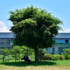 Bell Shine (feat. 8ow & siesta)