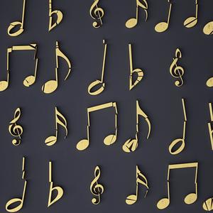 Can You Hear the Music