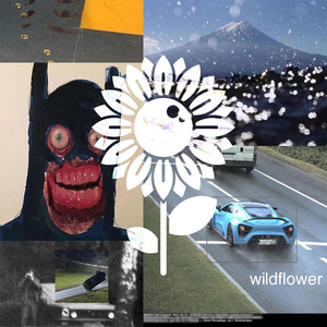 wildflower (Explicit)