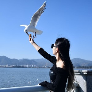 错过的爱