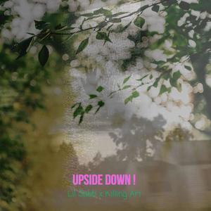 upside down ! (feat. Killing Art & Johnny Friend) (Explicit)
