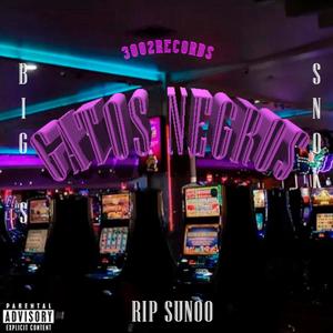Gatos Negros (feat. Big $) (Explicit)