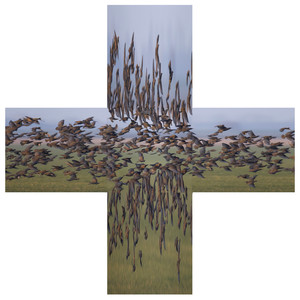 Te Laat Om Terug Naar Huis Te Gaan