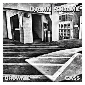 Damn Shame (feat. Gass) [Explicit]