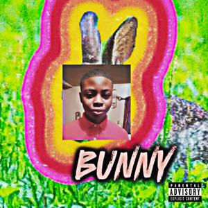 Bunny! (Diss Track!) [Explicit]