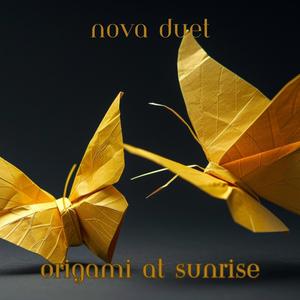 Origami at Sunrise