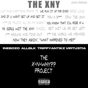 THE X-N-WHY?? PROJECT (Explicit)