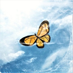 TWO CUPS FILL WITH MY EMOTIONS (Feat. 태랑)