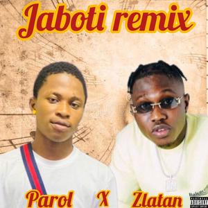 Jaboti (feat. Zlatan) [Remix] [Explicit]