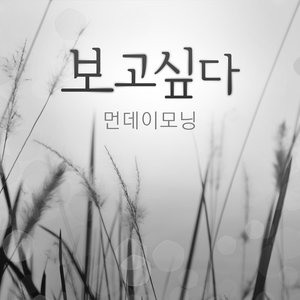 보고싶다 (想你)