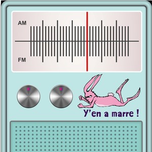 Y'en a marre ! (Bloom la radio des enfants)