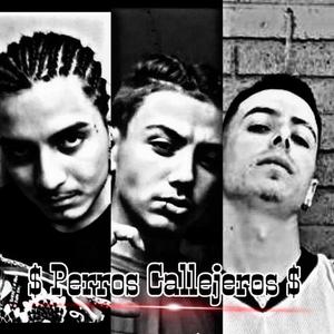 perros callejeros (feat. dtxjace & Carlos Romo) [Explicit]