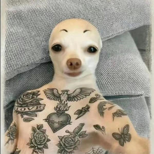 In Sight (feat. GIMAN) (Explicit)