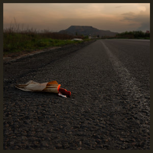 Контужений пес