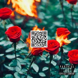 XO JERSEY LIFE THE TOUR (Explicit)