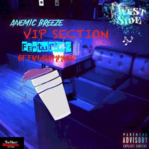 VIP Section (Explicit)