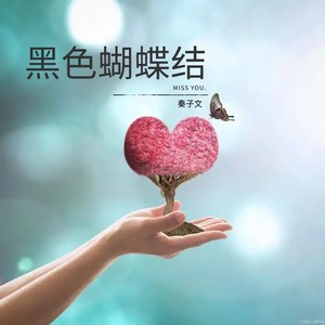 黑色蝴蝶结 (清唱版) - 秦子文封面