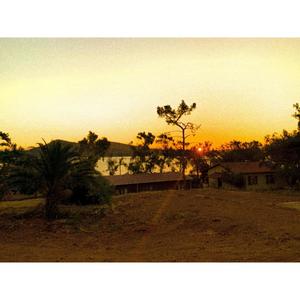 Tropikal (feat. Ome Rey) (Explicit)