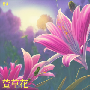 易谦 - 萱草花