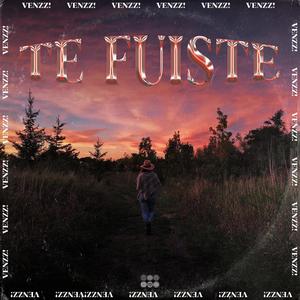 TE FUISTE