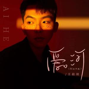 王晨羽 - 爱河 (DJ浩然版伴奏)