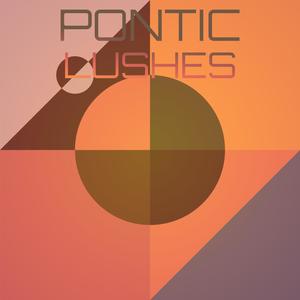 Pontic Lushes