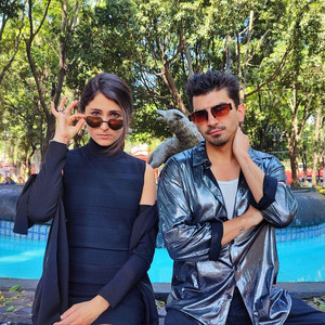 Flor de cempasúchil