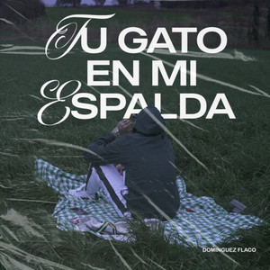Tu gato en mi espalda