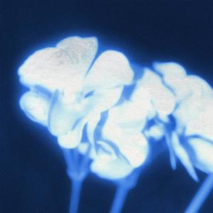 you're so precious. i love you. i'm sorry