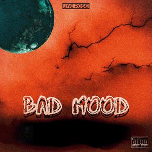Bad Mood (Explicit)
