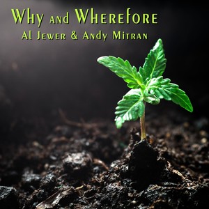 Why and Wherefore