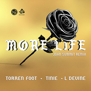 More Life (feat. Tinie Tempah & L Devine) (John Summit Remix) [Explicit]