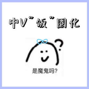 中V“饭”圈化