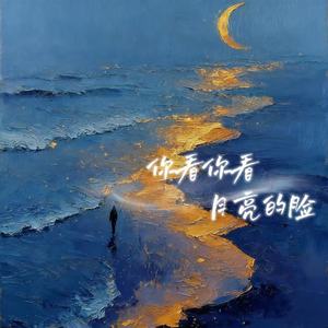 你看你看月亮的脸-记忆海