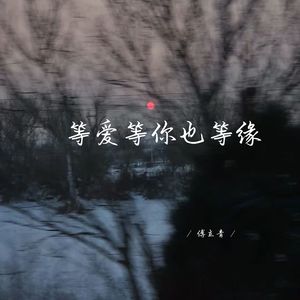 傅立青 - 过去这几年 (深情女生版)