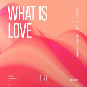 What Is Love (Extended Mix)