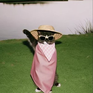 扭胯舞（举起手来）