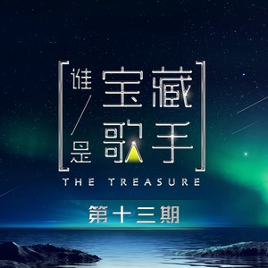 谁是宝藏歌手 第13期