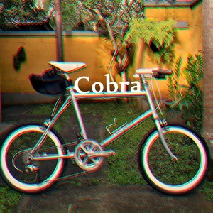 Cobra