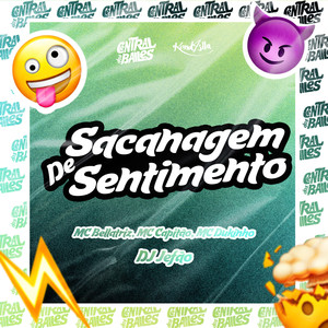 Sacanagem de Sentimento (Explicit)