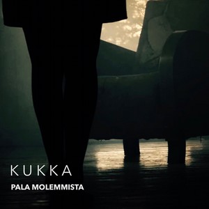 Pala molemmista