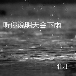 听你说明天会下雨