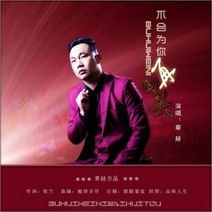 不会为你再回头